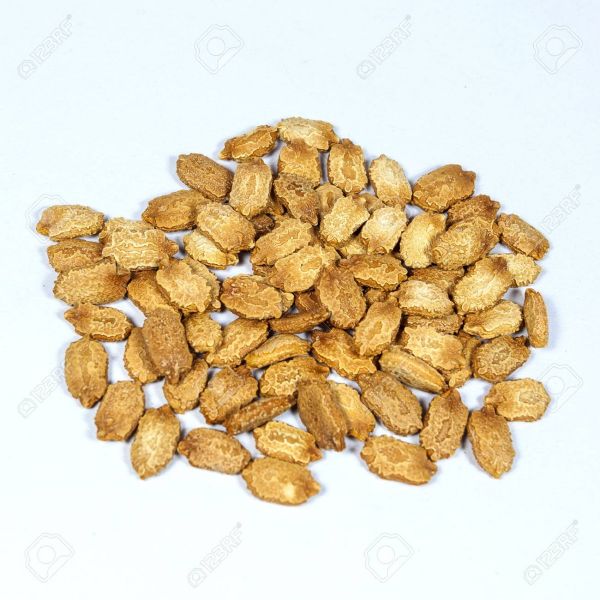 Bitter gourd seeds packet