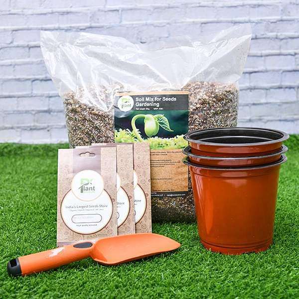 Garden Tools (Shovel & Fork) , Biopesticide seeds (5 Types)