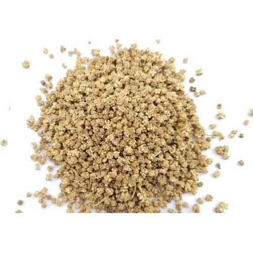 Spinach Seeds packet